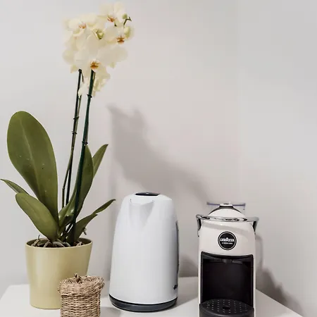 Гостевой дом Alea Рим